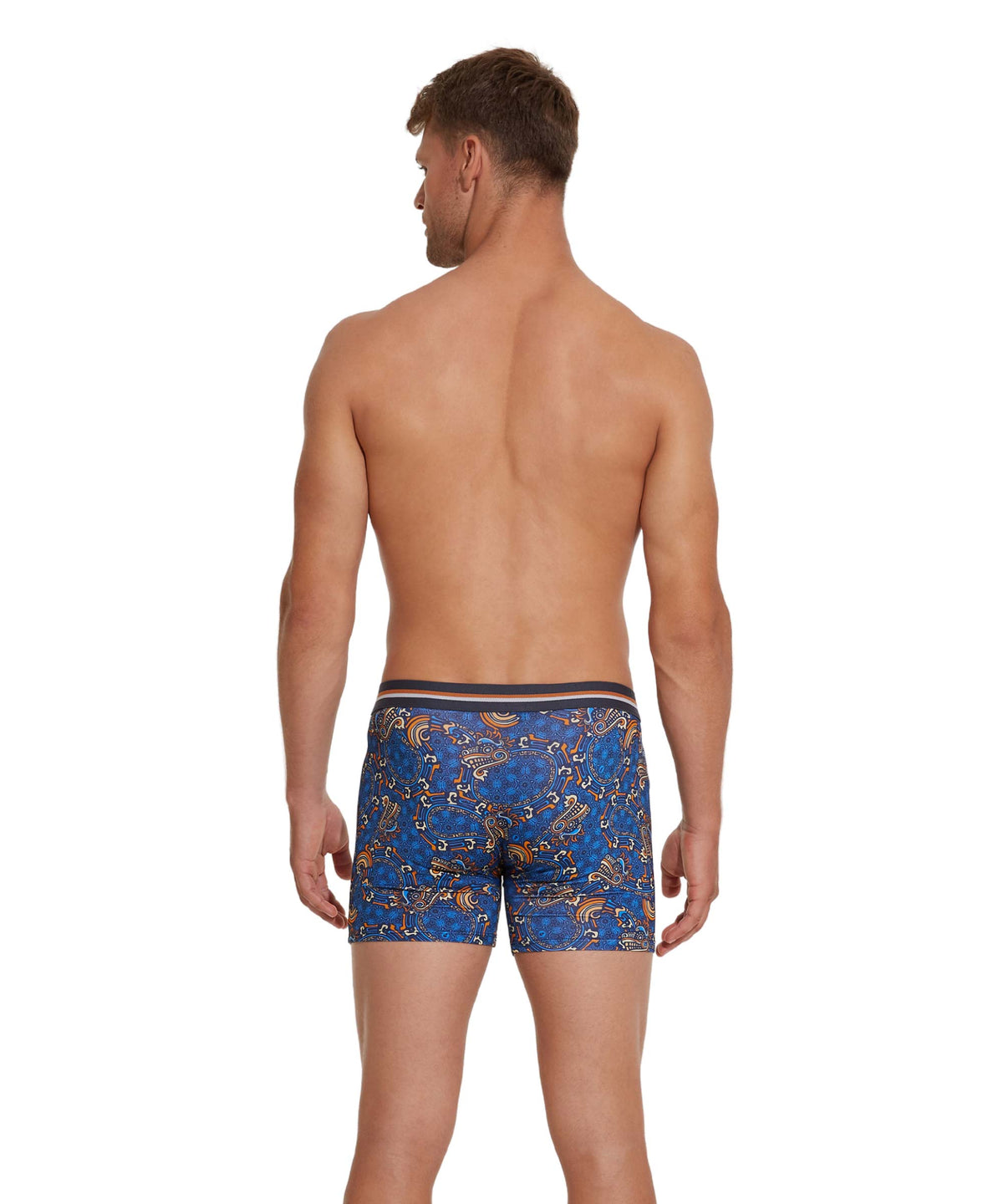 Men's underwear | MICROFIBER | BOX | MAYAN DRAGON