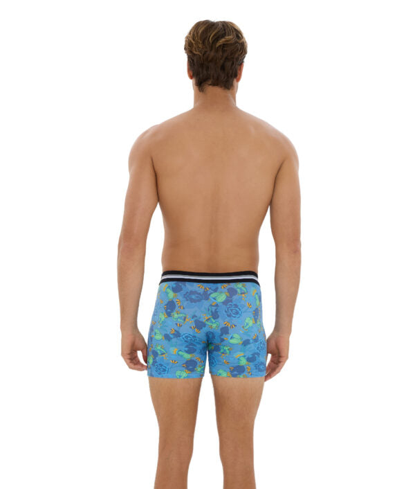 Moško spodnje perilo | BAMBUS | BOX  | CACTASS